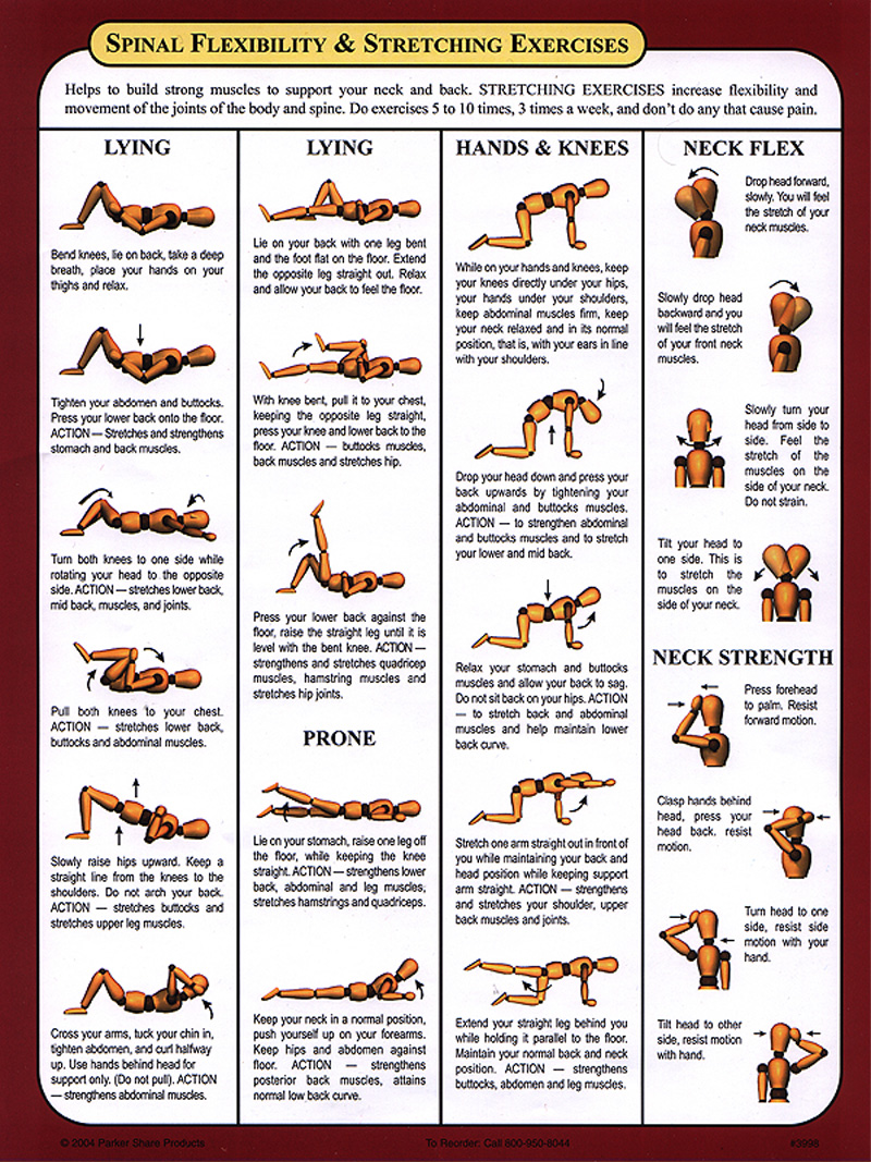 Stretchin Exercise Program Weight Loss